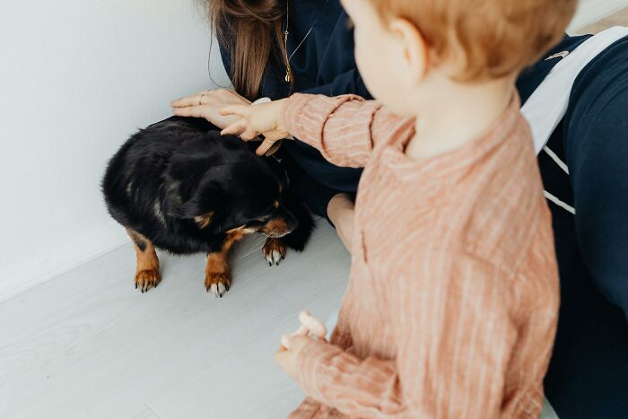 Child and adult gently petting a small black dog as part of brilliant life hacks for bonding with pets.