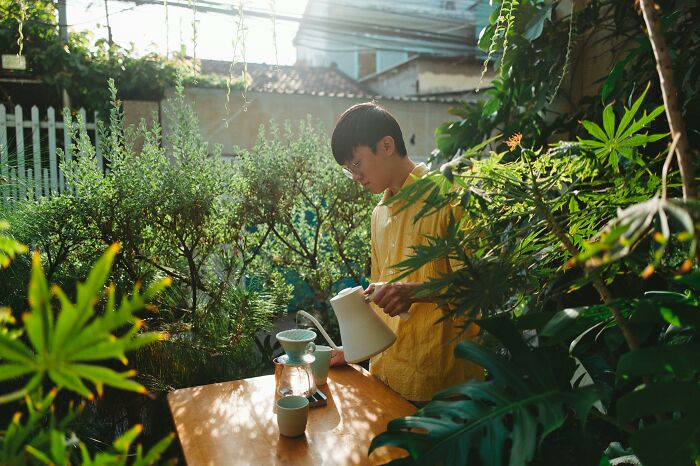 Person in a garden setting wearing a yellow shirt, pouring from a kettle. Surrounded by greenery and plants.
