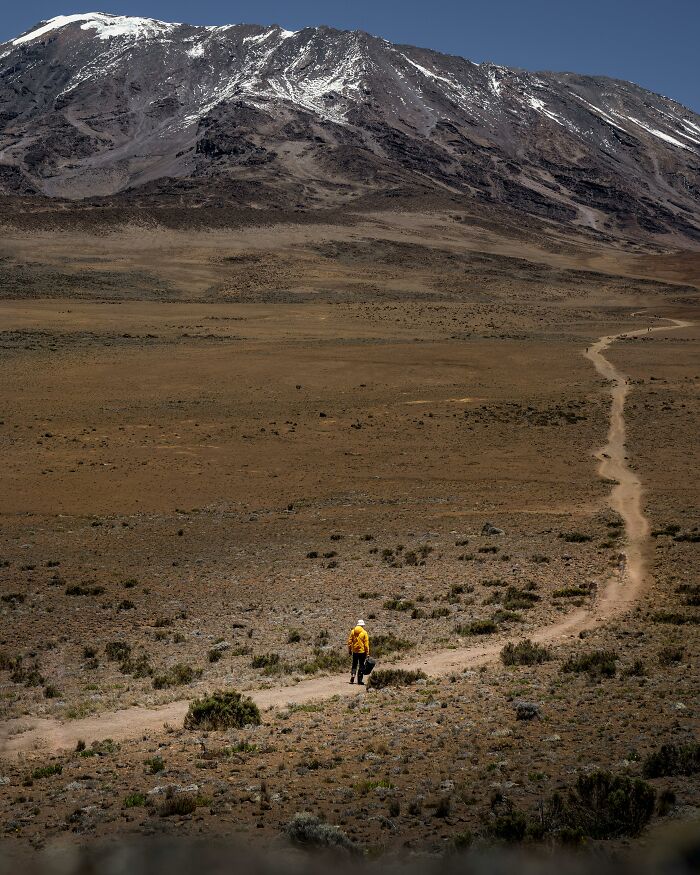 A hiker in a yellow jacket walks along a trail toward a snow-capped mountain, showcasing stunning natural wonders.