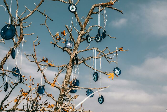 Tree adorned with evil eye charms, symbolizing widespread superstition beliefs under a clear sky.