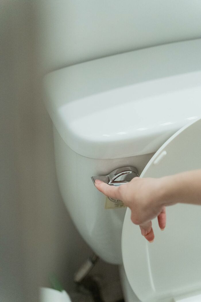 Hand flushing toilet as a symbol of revenge on power.
