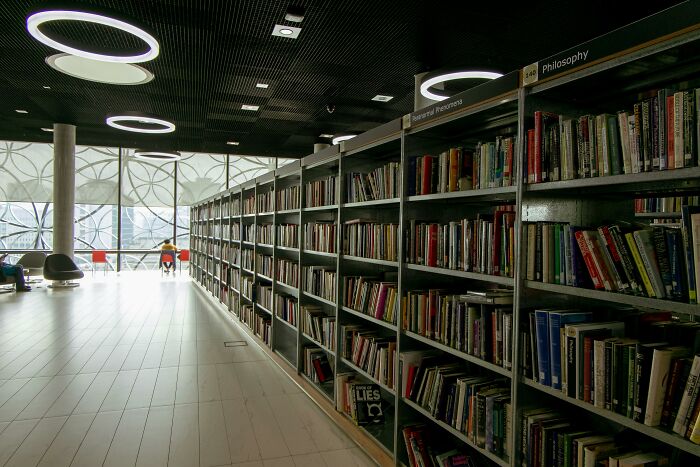 Modern library interior with books on philosophy shelves, bright circular ceiling lights, and large windows with patterned curtains.