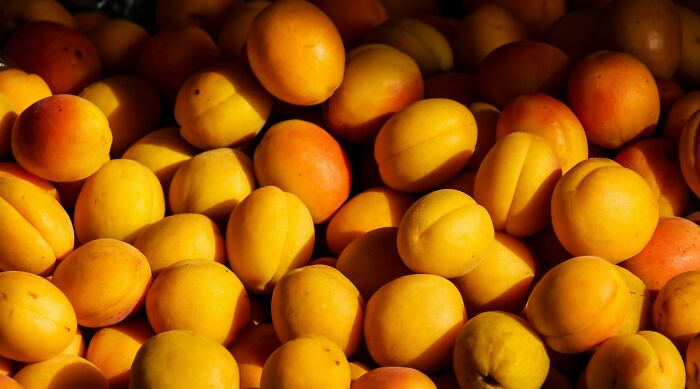 A pile of vibrant orange apricots, a health-boosting fruit for your fridge.