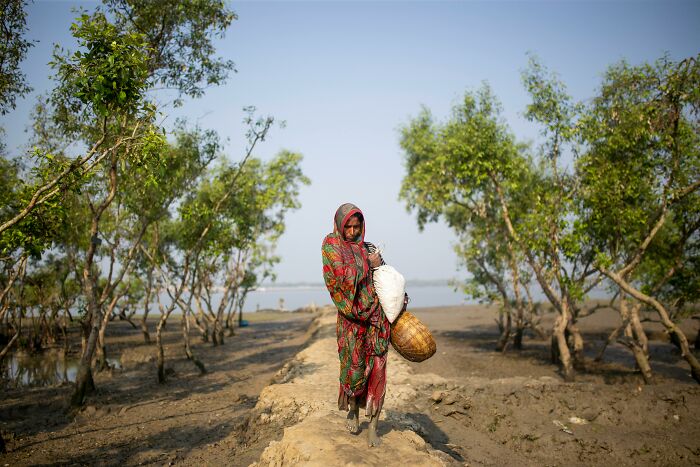 A person walking through a natural wonder, surrounded by trees on a muddy path, carrying a basket and a bag.