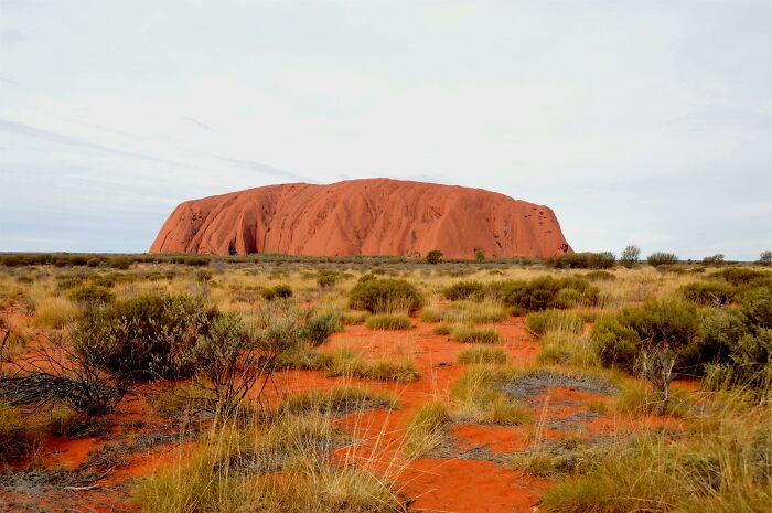 Uluru, a breathtaking natural wonder, rising from the Australian desert landscape, surrounded by sparse vegetation.