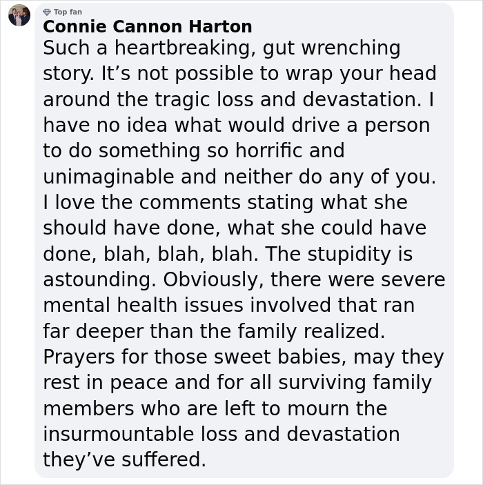 Emotional comment addressing tragic loss involving an "incredible mother" and her daughters, highlighting mental health issues.