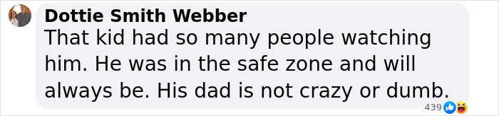 Text comment discussing Elon Musk's son X's safety, defense of Musk as a father.