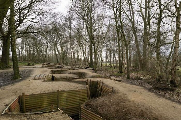 Historic trenches in a wooded area, offering a glimpse into past warfare strategies.