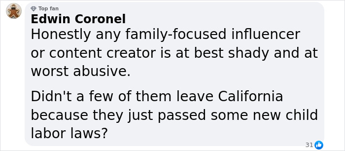 Comment discussing family-focused influencers and abuse concerns. Comment discussing family-focused influencers and abuse concerns.