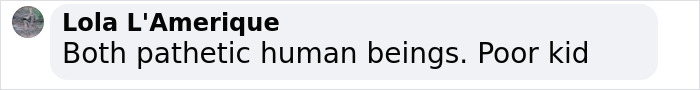 Comment mentioning both individuals as "pathetic human beings," related to Elon Musk's flirty tweets and Ashley St Clair.