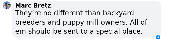 Comment by Marc Bretz comparing thieves to puppy mill owners in a robbery involving puppies. Comment by Marc Bretz comparing thieves to puppy mill owners in a robbery involving puppies.
