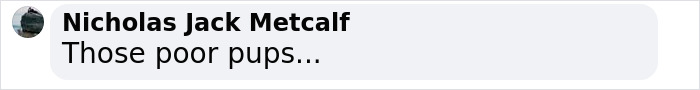 Nicholas Jack Metcalf comments, "Those poor pups..." in response to thieves stealing puppies. Nicholas Jack Metcalf comments, "Those poor pups..." in response to thieves stealing puppies.