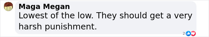 Comment by Maga Megan condemning a disturbing robbery involving a seizure plot to steal puppies. Comment by Maga Megan condemning a disturbing robbery involving a seizure plot to steal puppies.