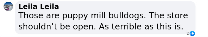Comment on the disturbing robbery involving thieves and puppies, mentioning puppy mills. Comment on the disturbing robbery involving thieves and puppies, mentioning puppy mills.