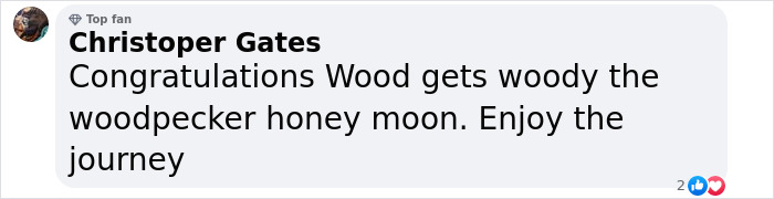Comment by a fan congratulating Elijah Wood on his marriage, with playful words about a honeymoon.