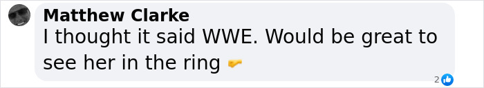 Comment by Matthew Clarke on Meghan Markle's situation, joking about WWE.