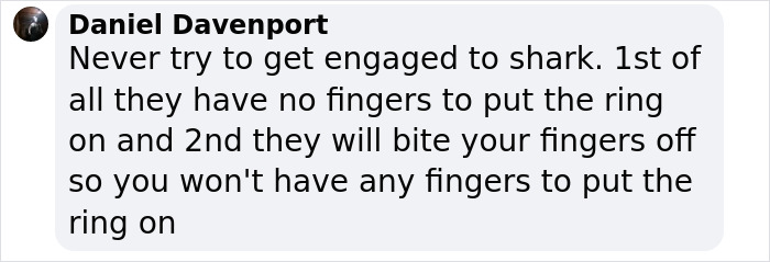 Comment about the dangers of engaging with a shark for a photo. Comment about the dangers of engaging with a shark for a photo.