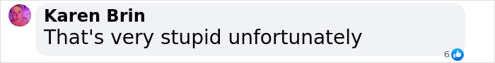 Comment by Karen Brin saying, "That's very stupid unfortunately," in response to a shark photo incident. Comment by Karen Brin saying, "That's very stupid unfortunately," in response to a shark photo incident.