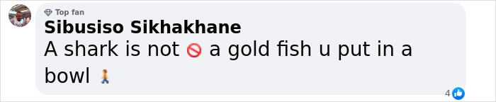 Text comment expressing that a shark is not like a pet goldfish. Text comment expressing that a shark is not like a pet goldfish.