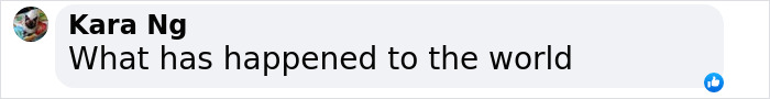 Screenshot of a comment by Kara Ng saying, "What has happened to the world," related to a shark incident. Screenshot of a comment by Kara Ng saying, "What has happened to the world," related to a shark incident.