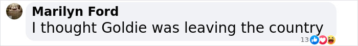 Comment by Marilyn Ford discussing Goldie's travel plans amid Oscars presenters news. Comment by Marilyn Ford discussing Goldie's travel plans amid Oscars presenters news.