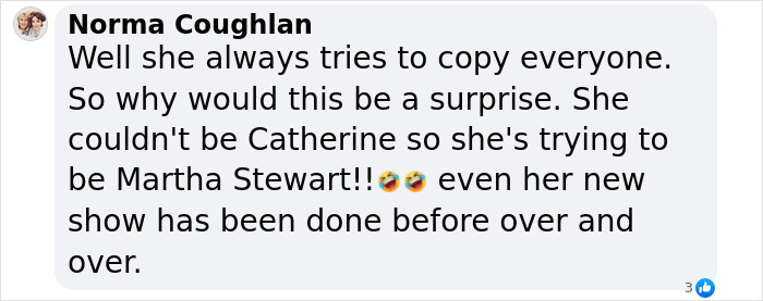 Comment criticizing Meghan Markle's rebranding and alleged logo theft.