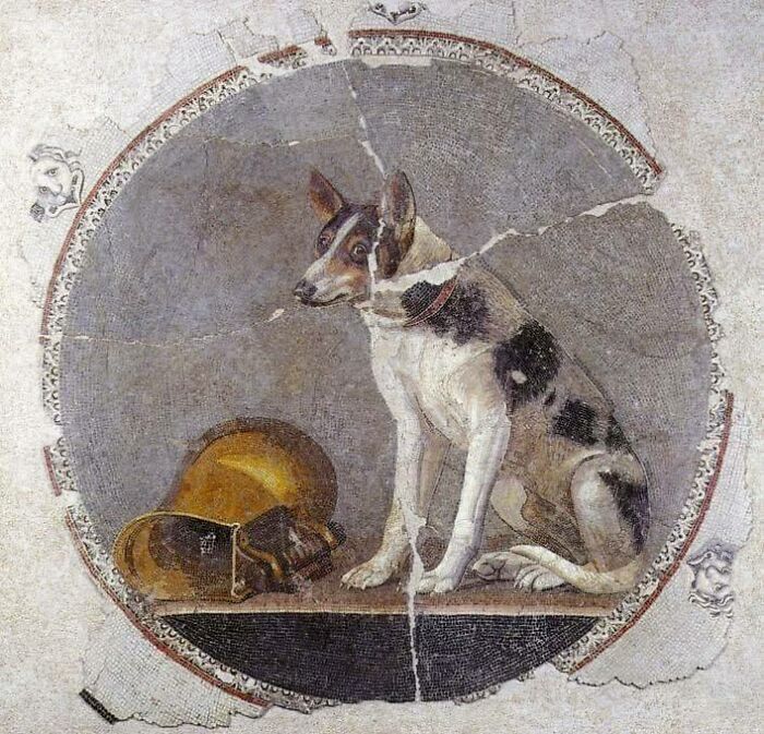 Ancient mosaic depicting a dog beside a helmet, illustrating something interesting from history.
