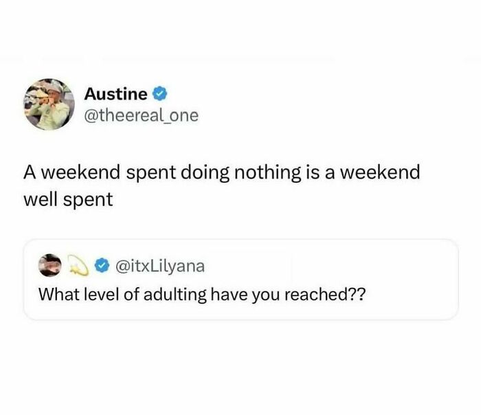 Tweet about adulting humor and a weekend spent doing nothing, related to social justice conversations on social media.