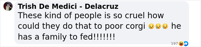 Comment expressing outrage over punishment of corgi police dog accused of sleeping on duty.