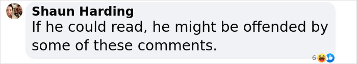 Comment from Shaun Harding about a man's reaction to comments, with emojis for emphasis.