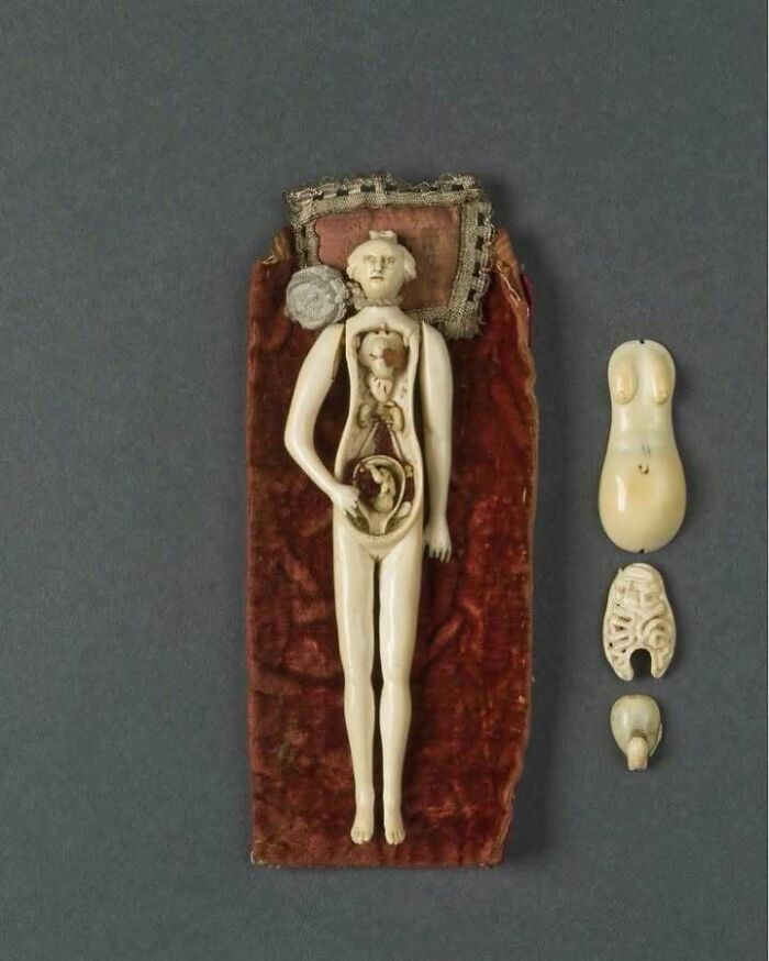 Ivory anatomical model showing historical medical practice intricacies, featuring a detailed pregnant figure with removable parts.