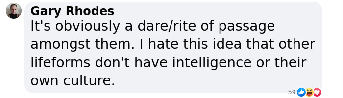 Gary Rhodes comments on monkeys trying to mate with deer, discussing animal intelligence and culture.