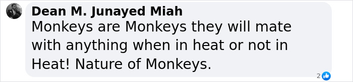 Comment about monkeys' behavior related to mating instincts.
