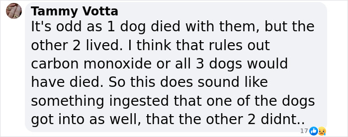 Comment discusses possible cause of dog death, suggesting ingestion over carbon monoxide; linked to Gene Hackman's wife's case.