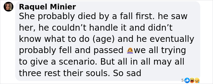 Comment discussing a possible scenario about Gene Hackman's wife's passing, expressing sadness and speculation.
