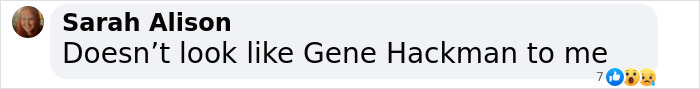 Comment questioning if image resembles Gene Hackman.