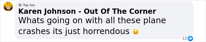 Comment expressing concern over recent plane crashes, mentioning "horrendous" events.
