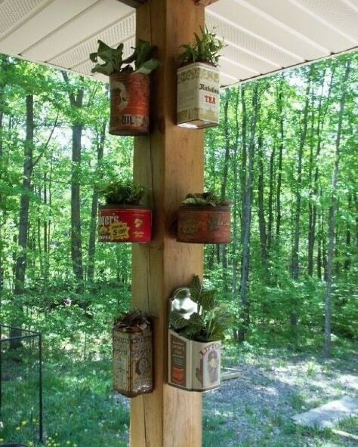 Recycled vintage cans turned into planters on a wooden post, inspiring eco-friendly creativity in a forest setting.