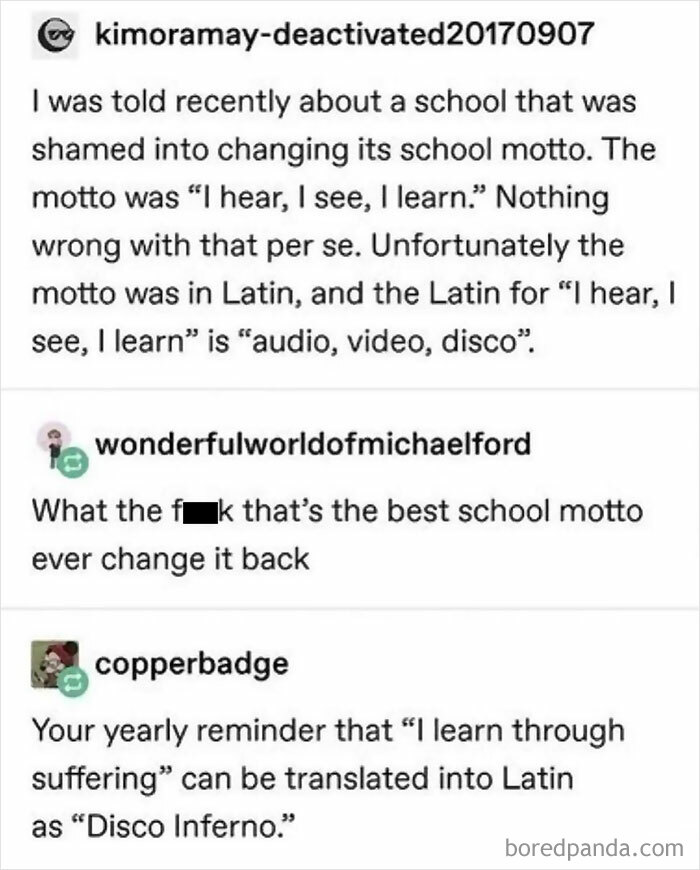 Funny text exchange about a school motto translating to "audio, video, disco" in Latin, evoking humorous reactions.
