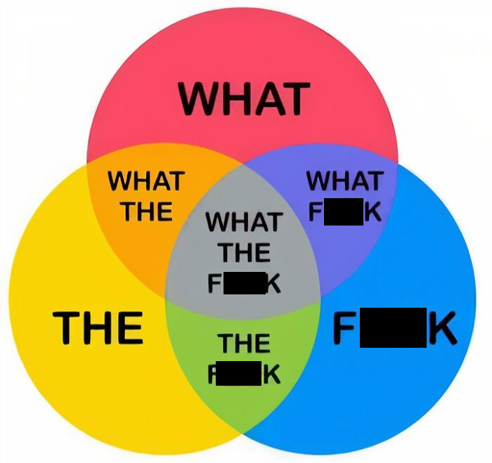 Venn diagram with overlapping circles labeled "WHAT," "THE," and "F**K," illustrating a humorous concept.