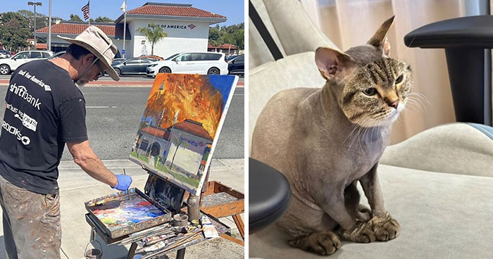 40 Times People Saw Something That Made Them Go “Hmmm” And Had To Share It (New Pics)