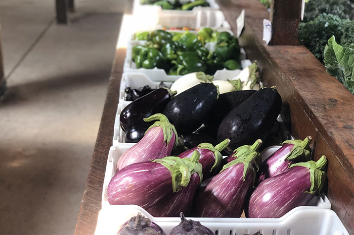 Eggplants and green peppers displayed in trays at a market, illustrating moments of doing things the wrong way.