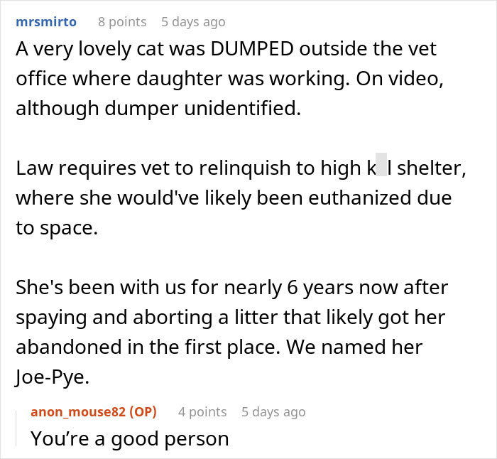 Text conversation about a cat dumped outside a vet office, discussing re-homing and its impact.