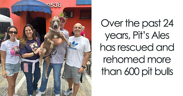 Due To Bad Reputation Of The Breed, Pit Bull Rescuers Struggle To Stay Open
