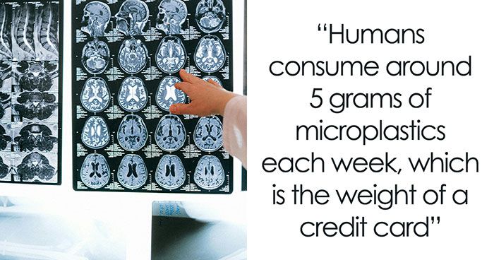 Since It Was Proven Our Brains Are Littered With Microplastics, Here Are Some Ways To Prevent It