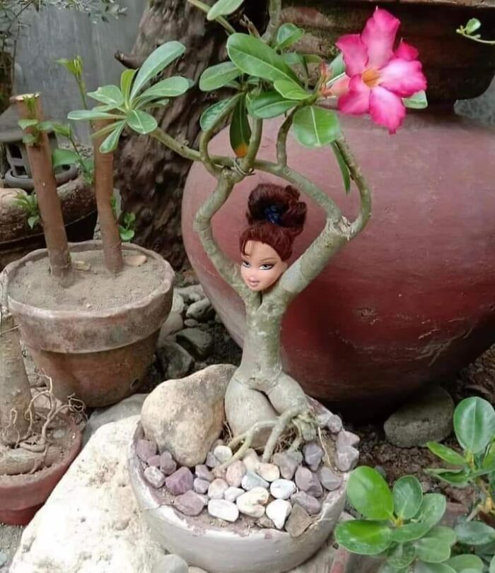 Horrendous DIY project featuring a doll's head and plant forming an odd tree figure in a pot with pebbles.