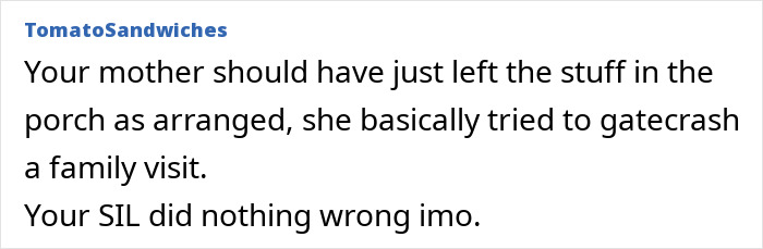 Text comment discussing a MIL's unexpected visit, suggesting she should have left items on the porch instead of interrupting. Text comment discussing a MIL's unexpected visit, suggesting she should have left items on the porch instead of interrupting.
