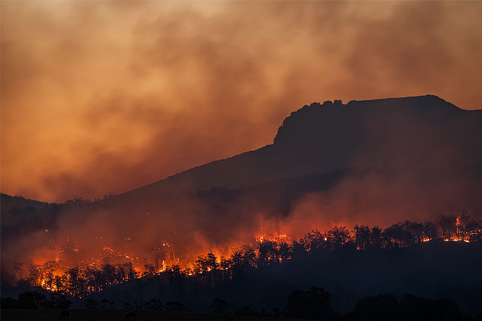 Wildfire raging in a forested hillside, casting an orange glow in the smoky sky.