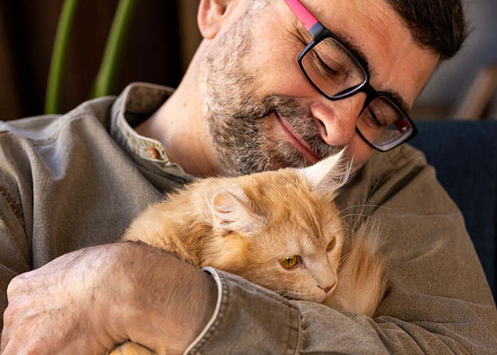 Hombre con gafas abrazando a un gato naranja, representando el sistema de distribución de gatos.