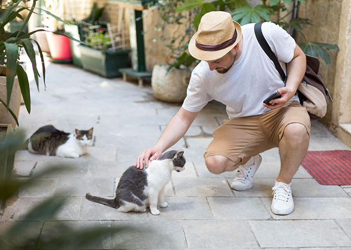 Man in a hat petting a cat in a courtyard, showcasing the cat distribution system in action.